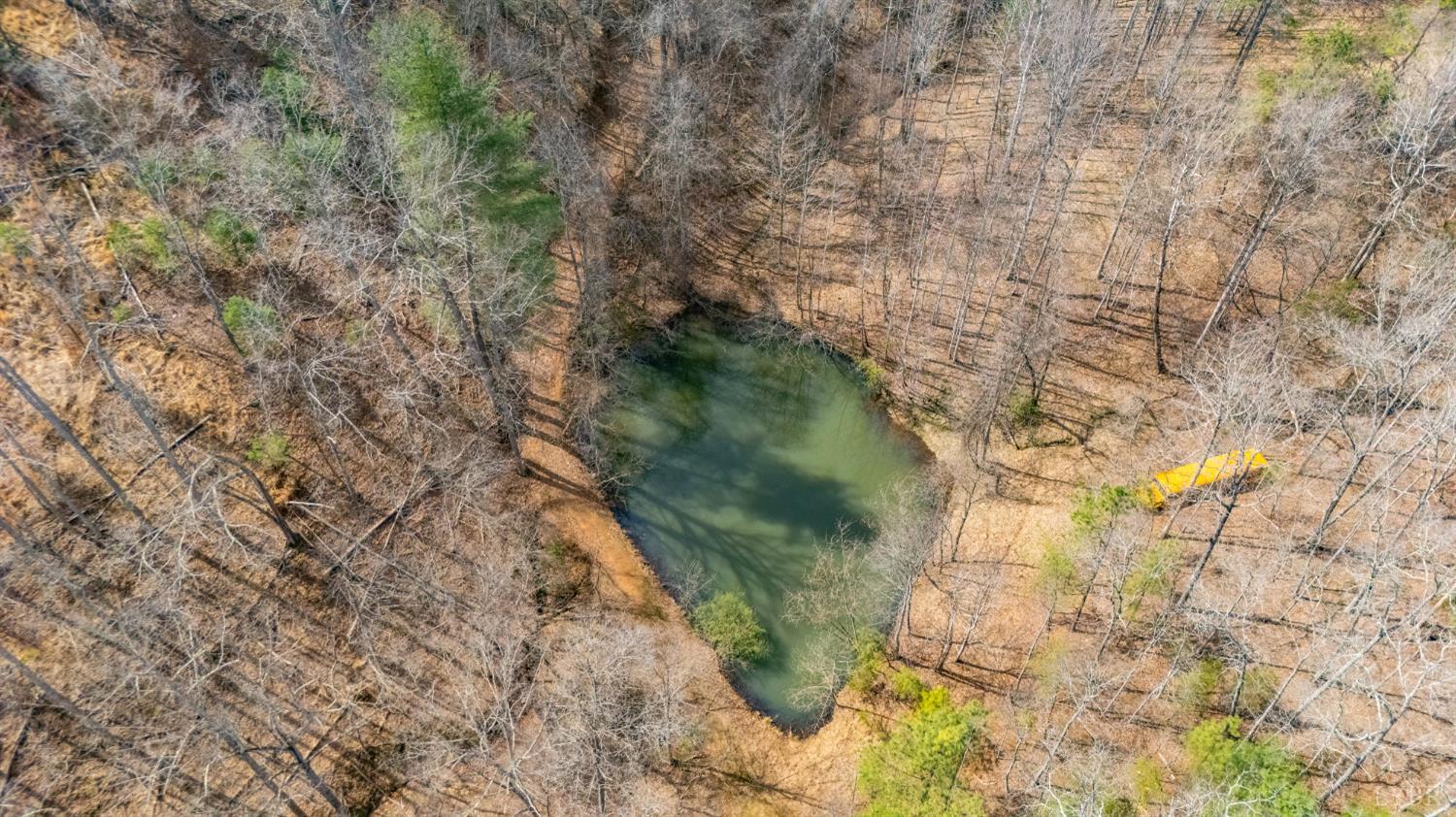712 Cherry Hill Road Amherst, VA 24521 - Photo 89 of 94