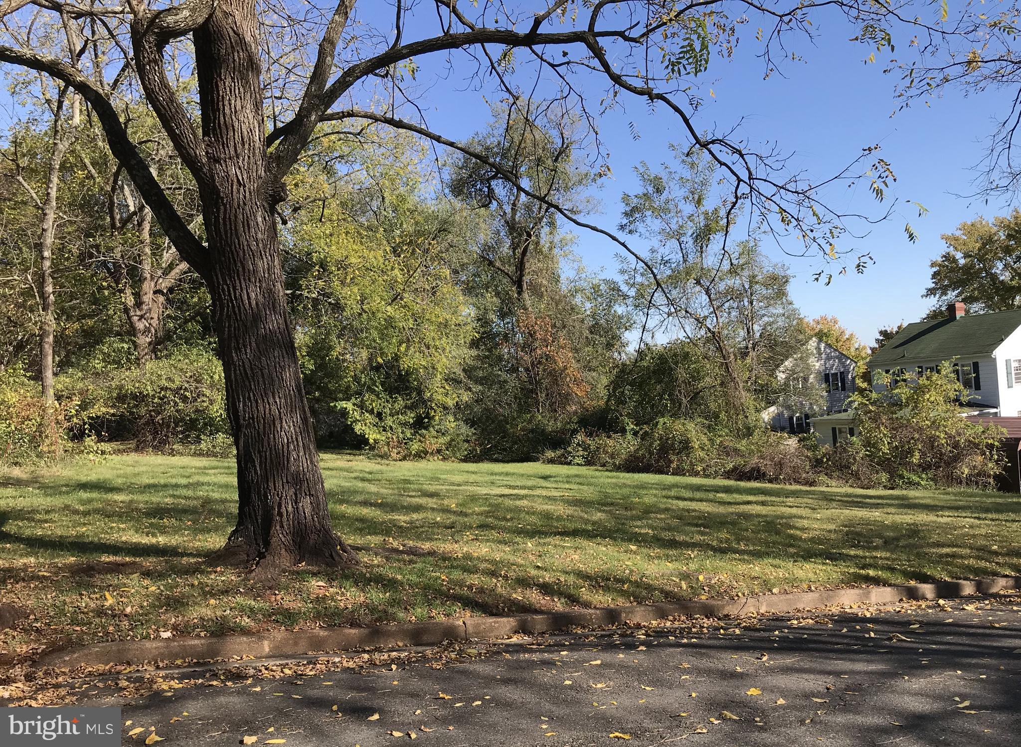 a view of a field with an trees