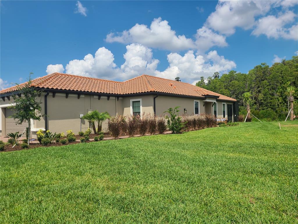 4487 Rosatti Road Wesley Chapel, FL 33543 - Photo 1 of 1 Gallery Image 1