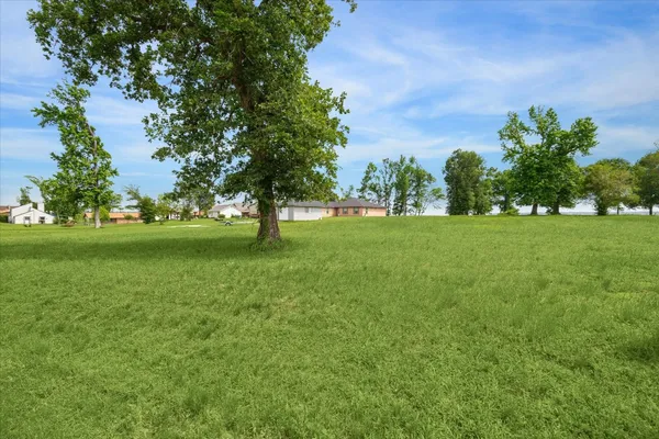 a view of a green yard with large trees