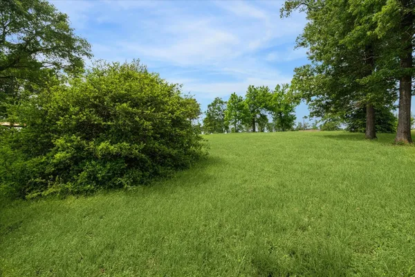 a view of field with grass and trees