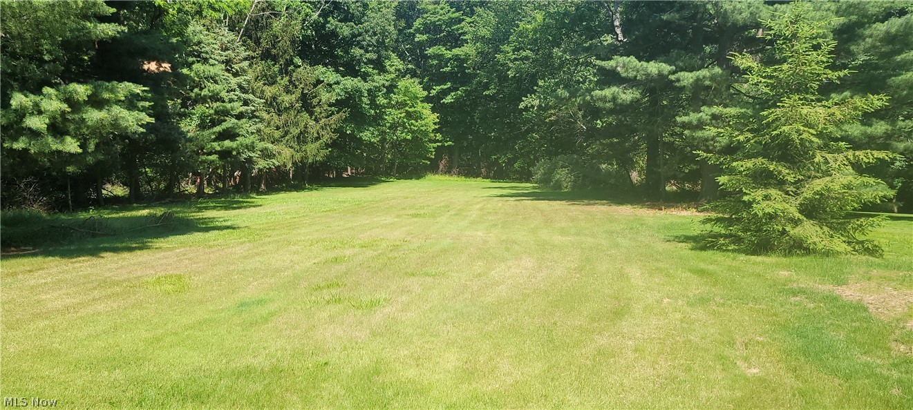 Beautiful PRIVATE backyard
