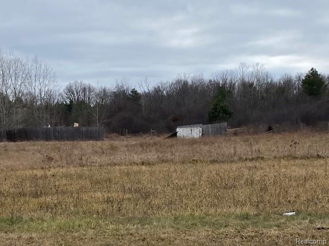 0 Clio Road Flint, MI 48504 - Photo 2 of 3