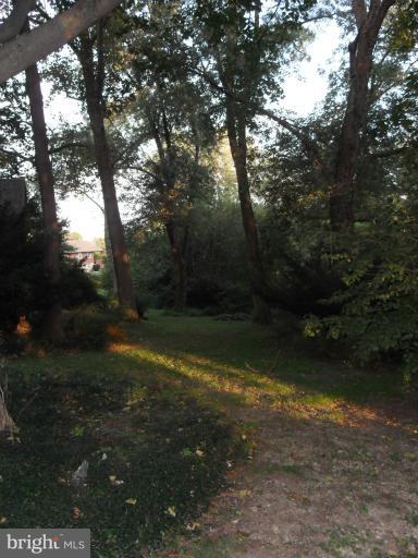 9301 Old Harford Road Baltimore, MD 21234 - Photo 23 of 24 View of Portion of Backyard