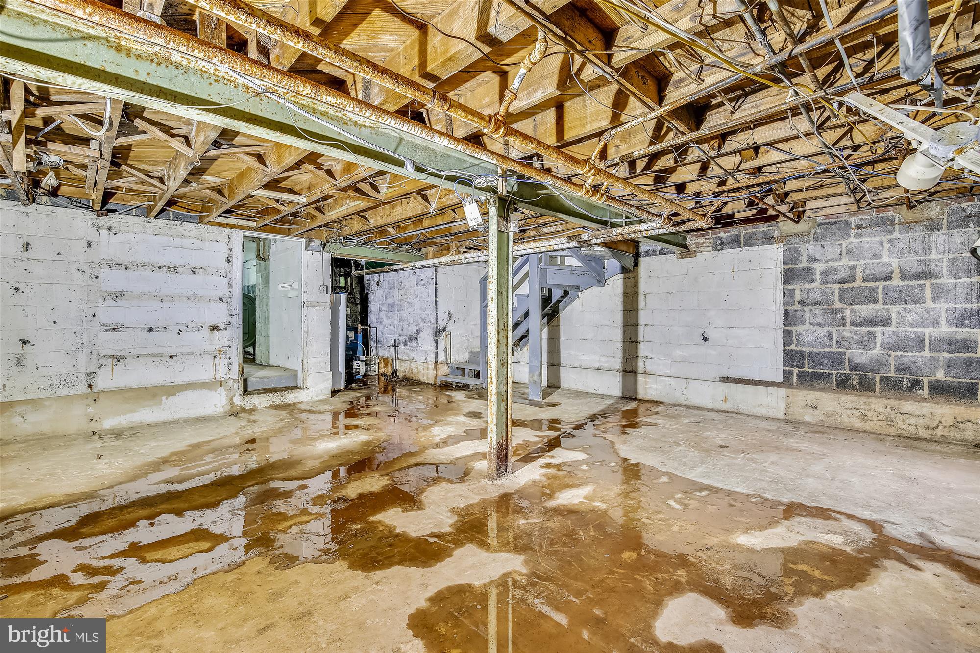 10207 Greenacres Drive Silver Spring, MD 20903 - Photo 35 of 50 Basement