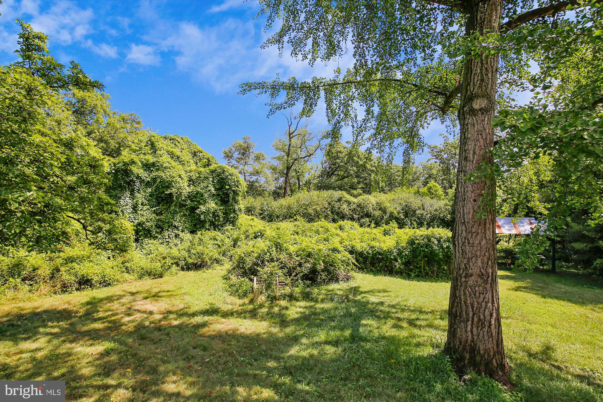 10207 Greenacres Drive Silver Spring, MD 20903 - Photo 41 of 50