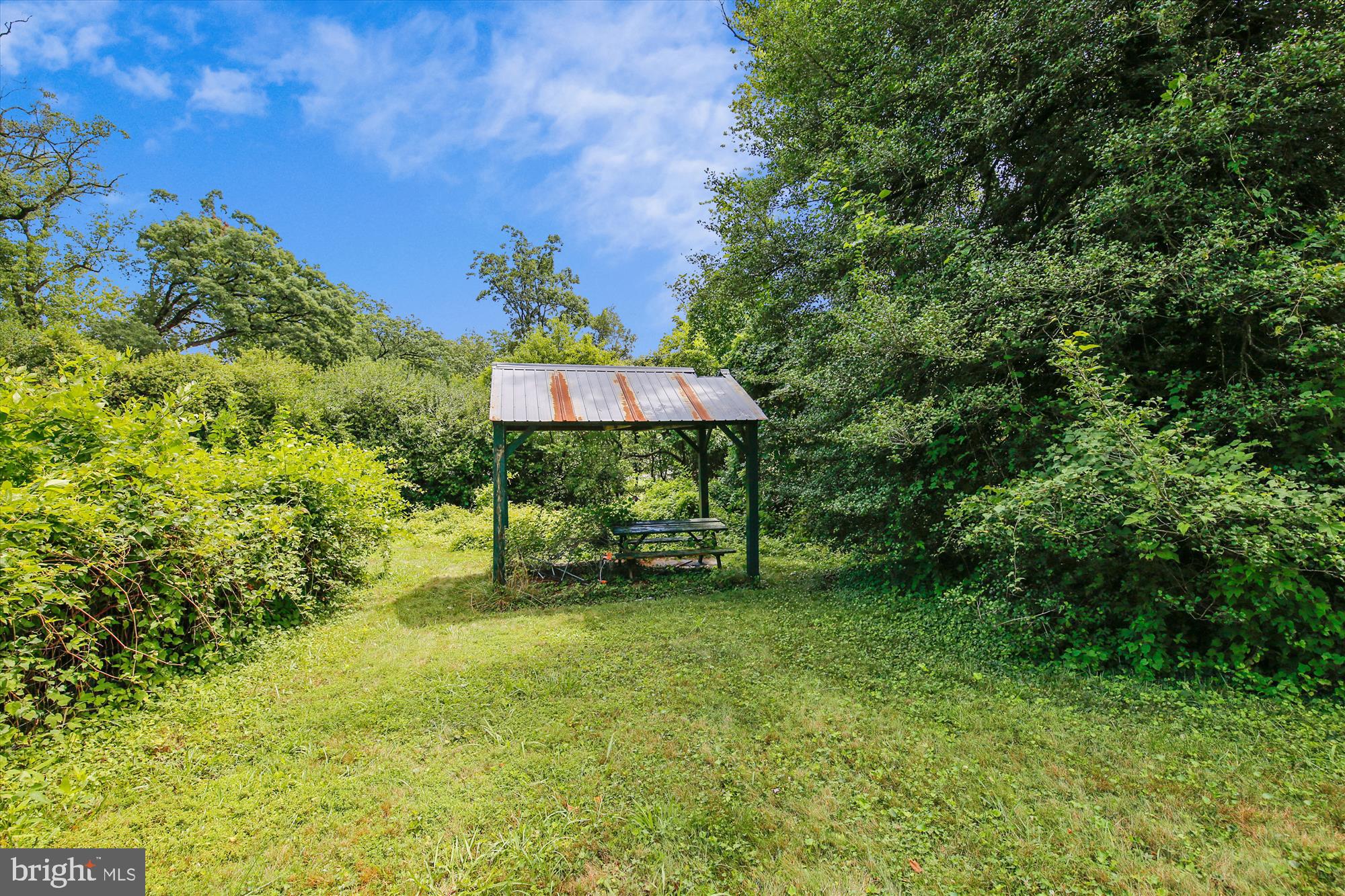 10207 Greenacres Drive Silver Spring, MD 20903 - Photo 42 of 50