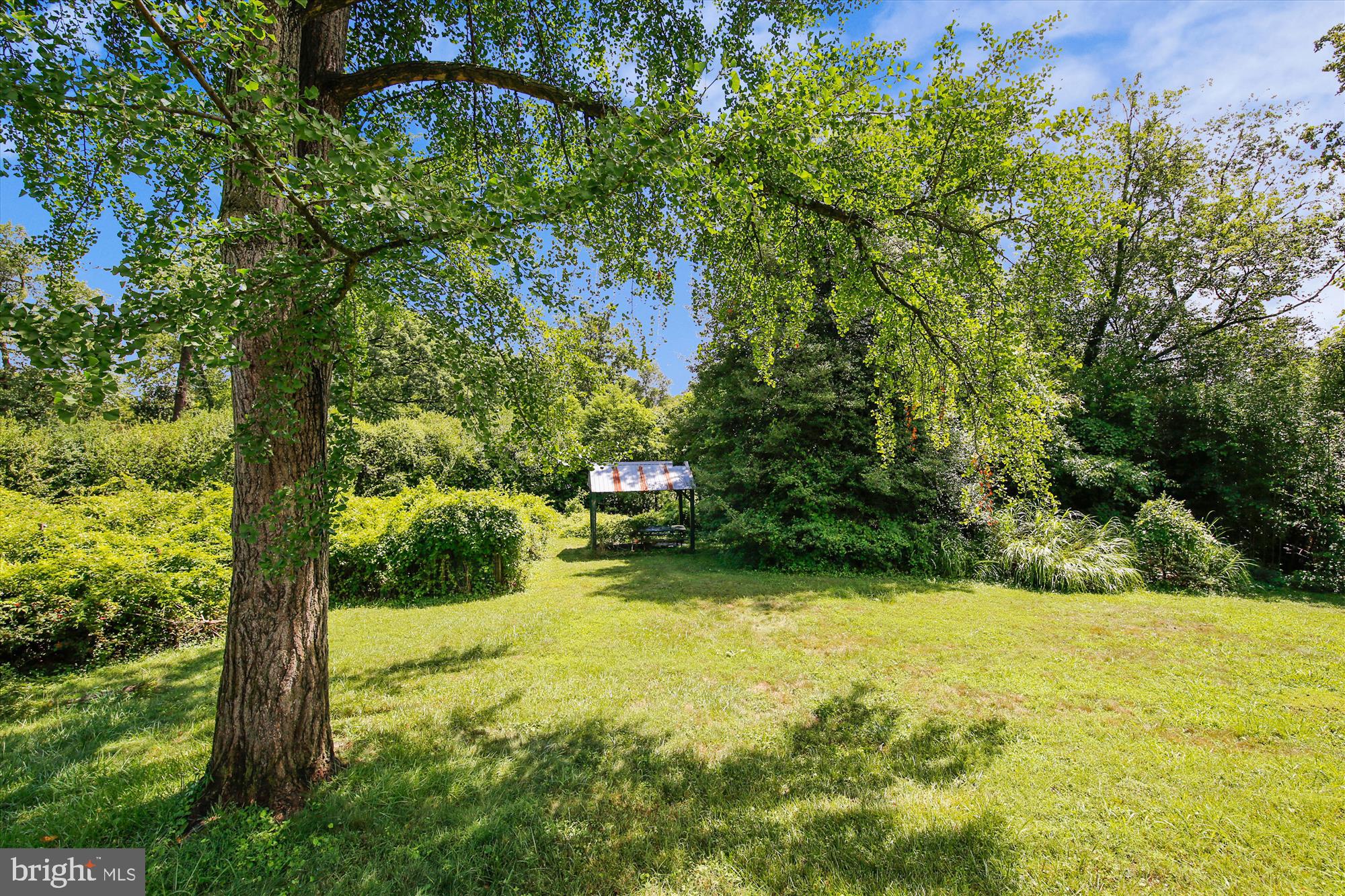 10207 Greenacres Drive Silver Spring, MD 20903 - Photo 43 of 50