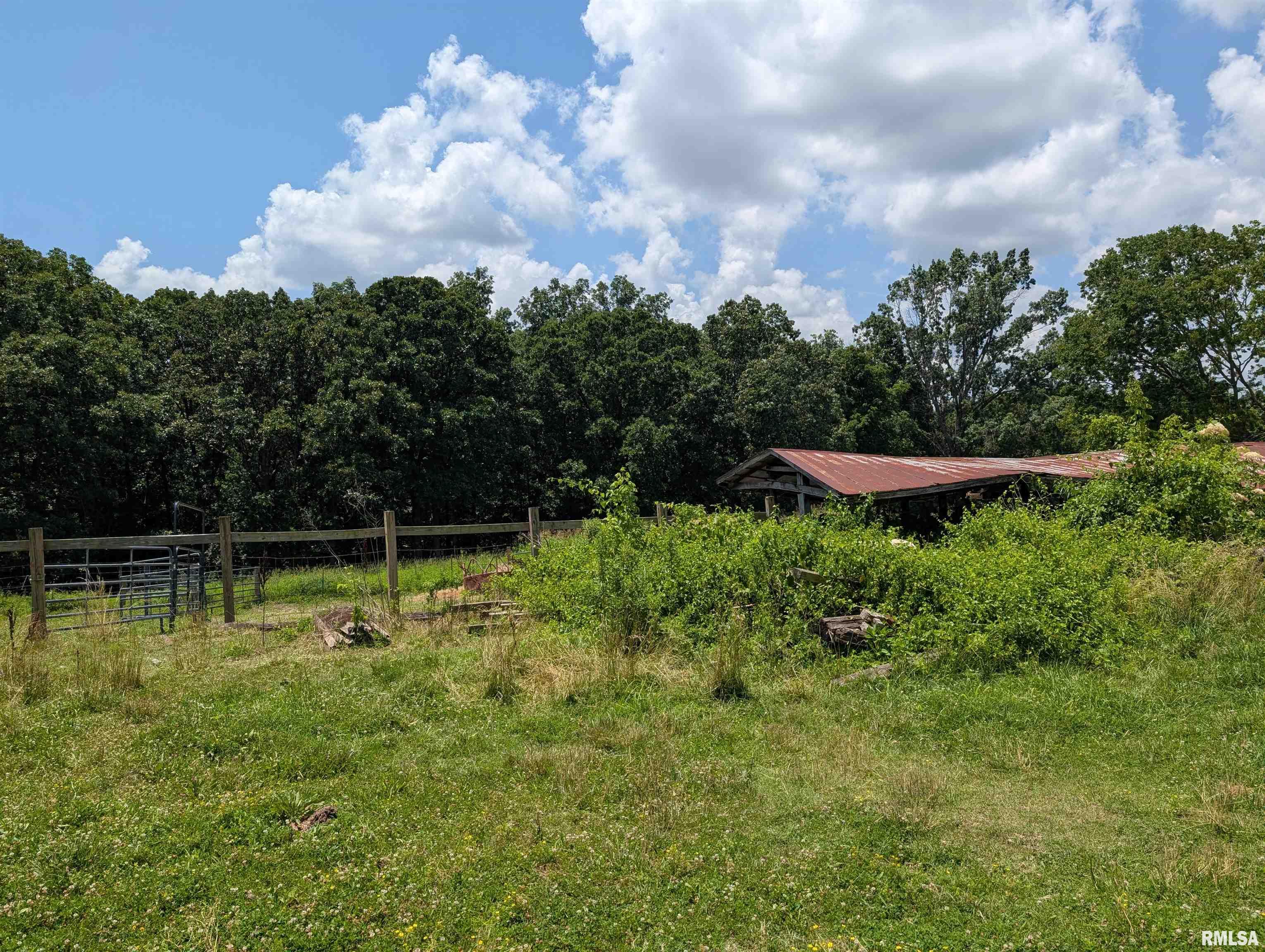 340 Dameron Lane Vienna, IL 62995 - Photo 12 of 46