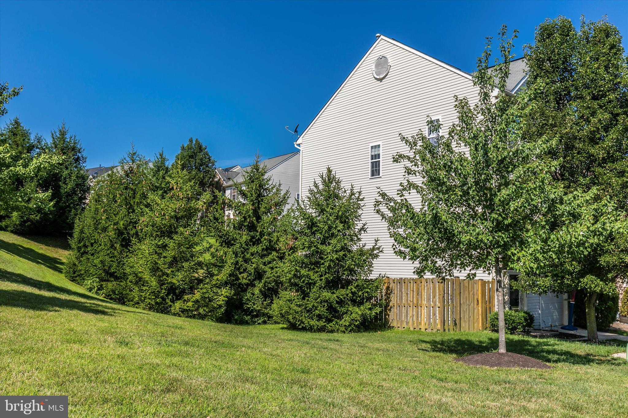 1742 Trestle Street Mount Airy, MD 21771 - Photo 50 of 58 a view of backyard with garden and trees
