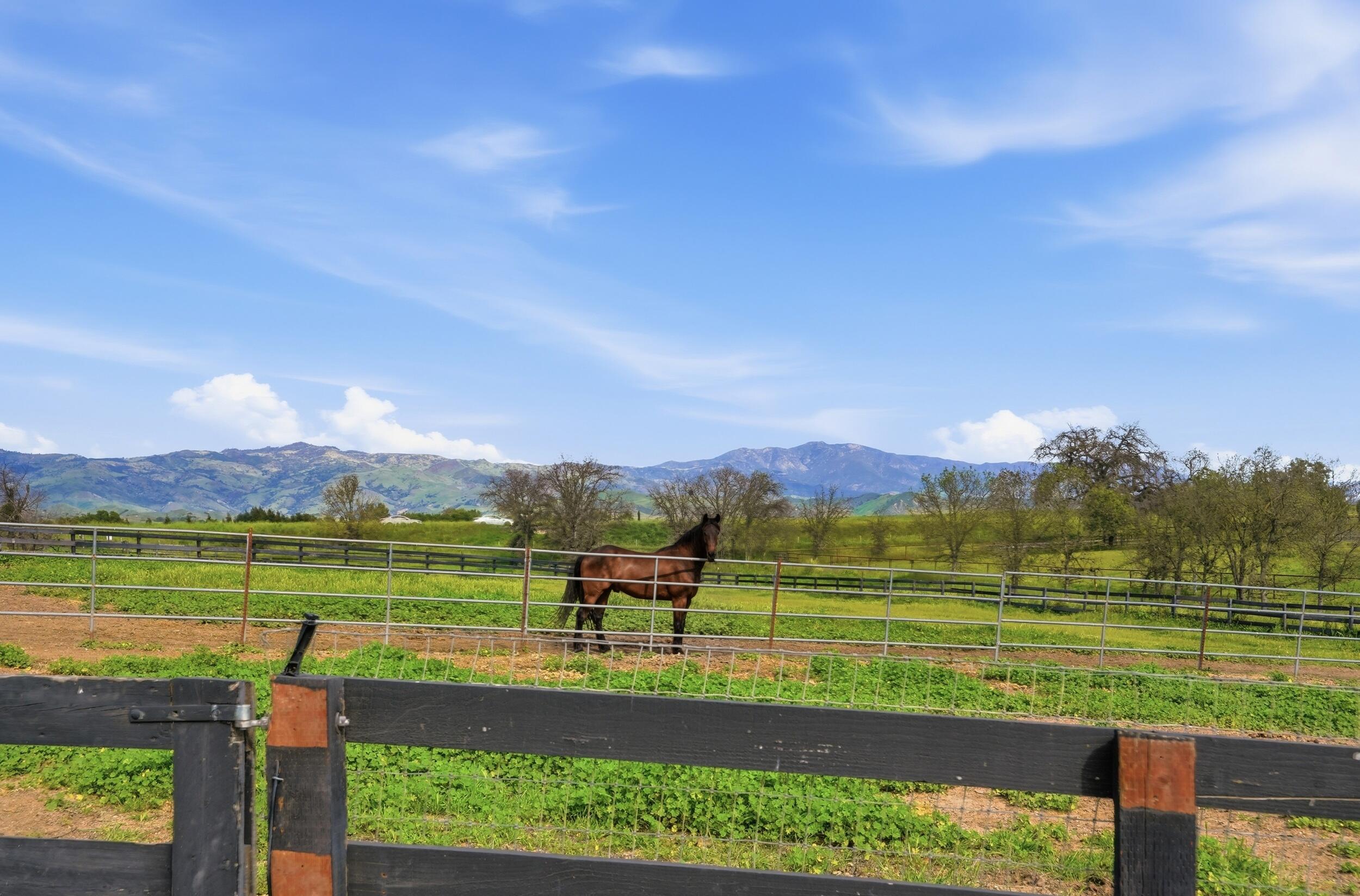 1510 Meadowvale Road Santa Ynez, CA 93460 - Photo 7 of 62 33_1510 meadowvale rd-29