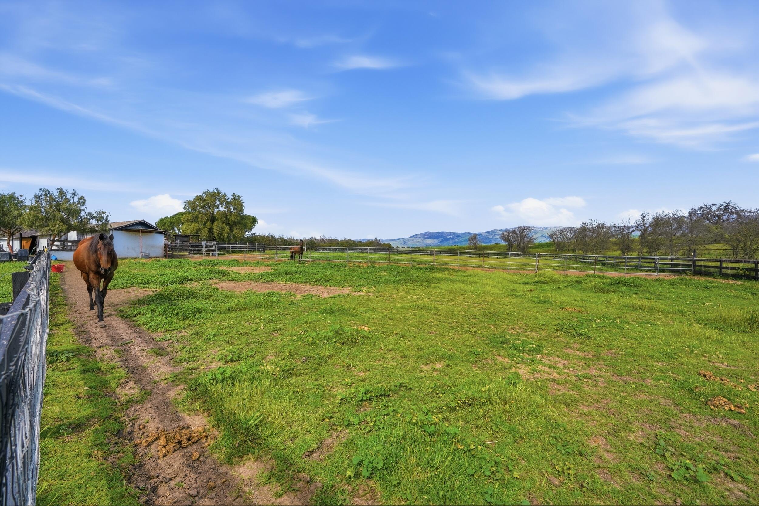 1510 Meadowvale Road Santa Ynez, CA 93460 - Photo 8 of 62 32_1510 meadowvale rd-28