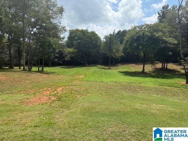 580 Idalia Road Talladega, AL 35160 - Photo 4 of 47
