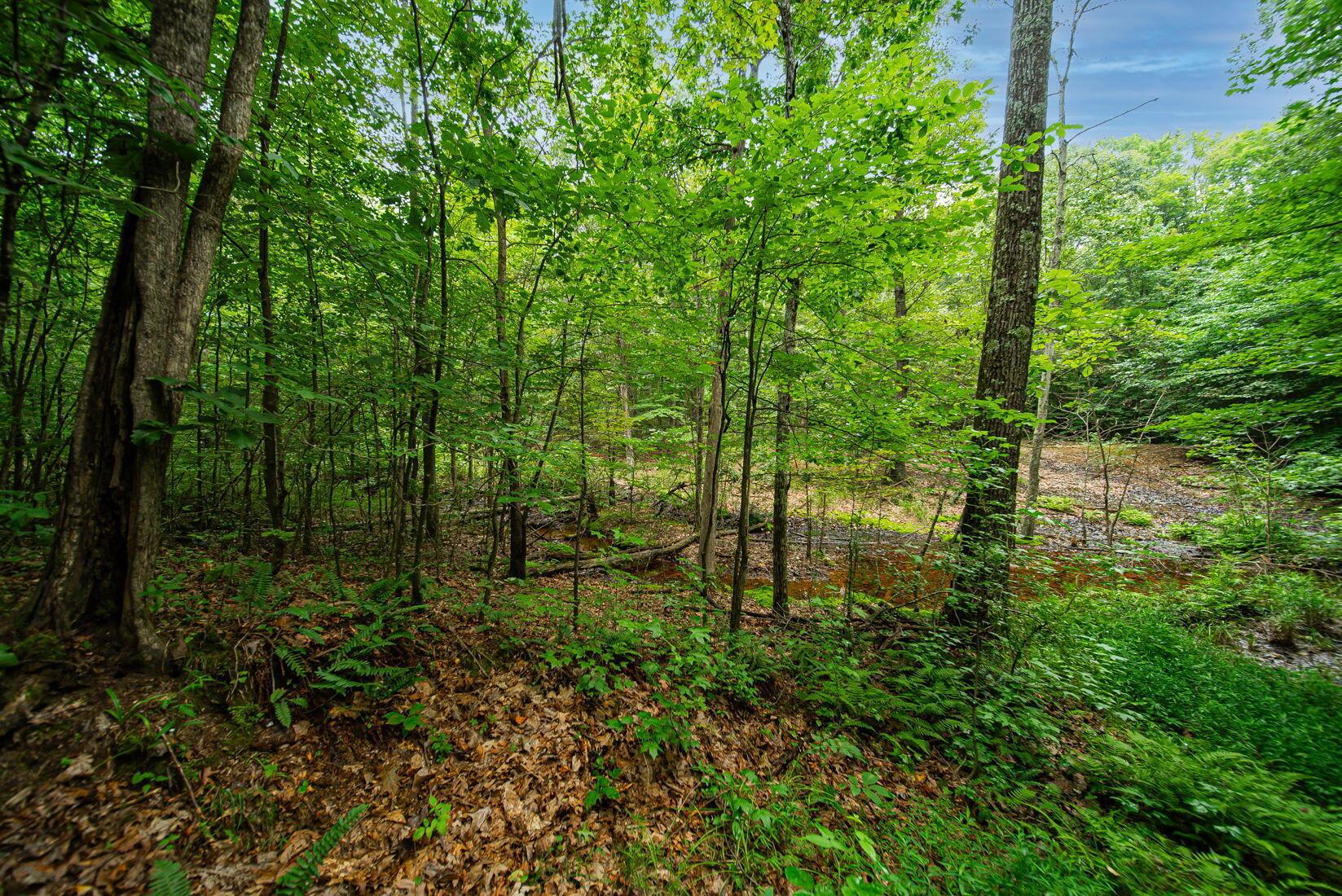 9758 Wesley Chapel Road Mount Perry, OH 43760 - Photo 22 of 43 21-web-or-mls-Todd Burns - 9758 Wesley C