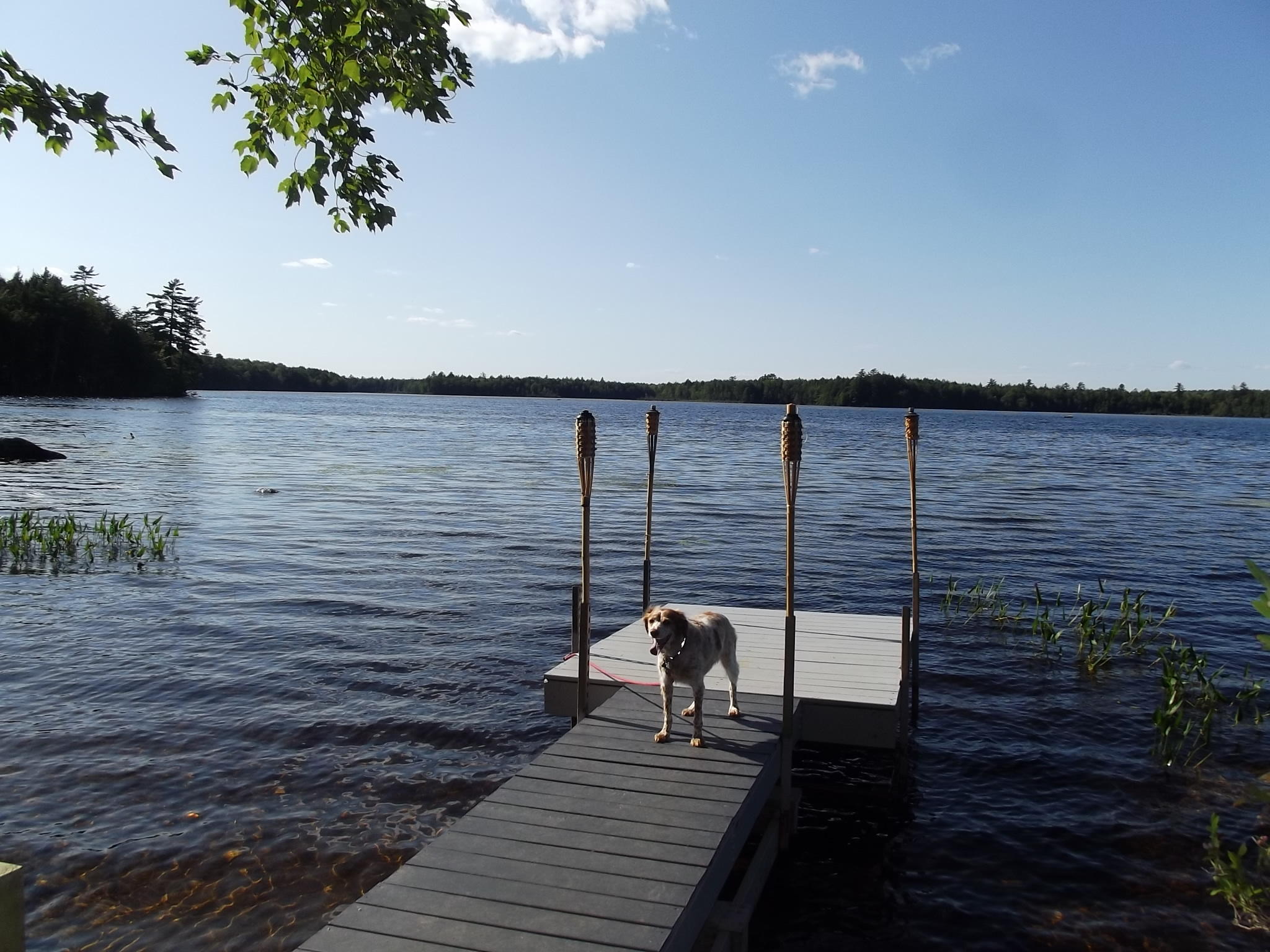 118 Eagle Ridge Road Lincoln, ME 04457 - Photo 53 of 61 DSCF7417