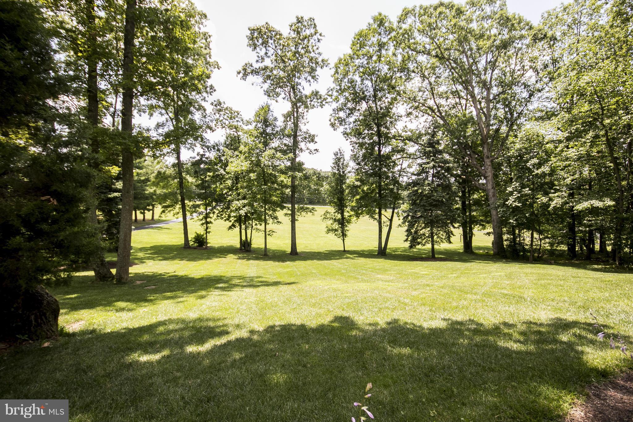 3807 Ady Road Street, MD 21154 - Photo 26 of 30 Exterior (Rear)