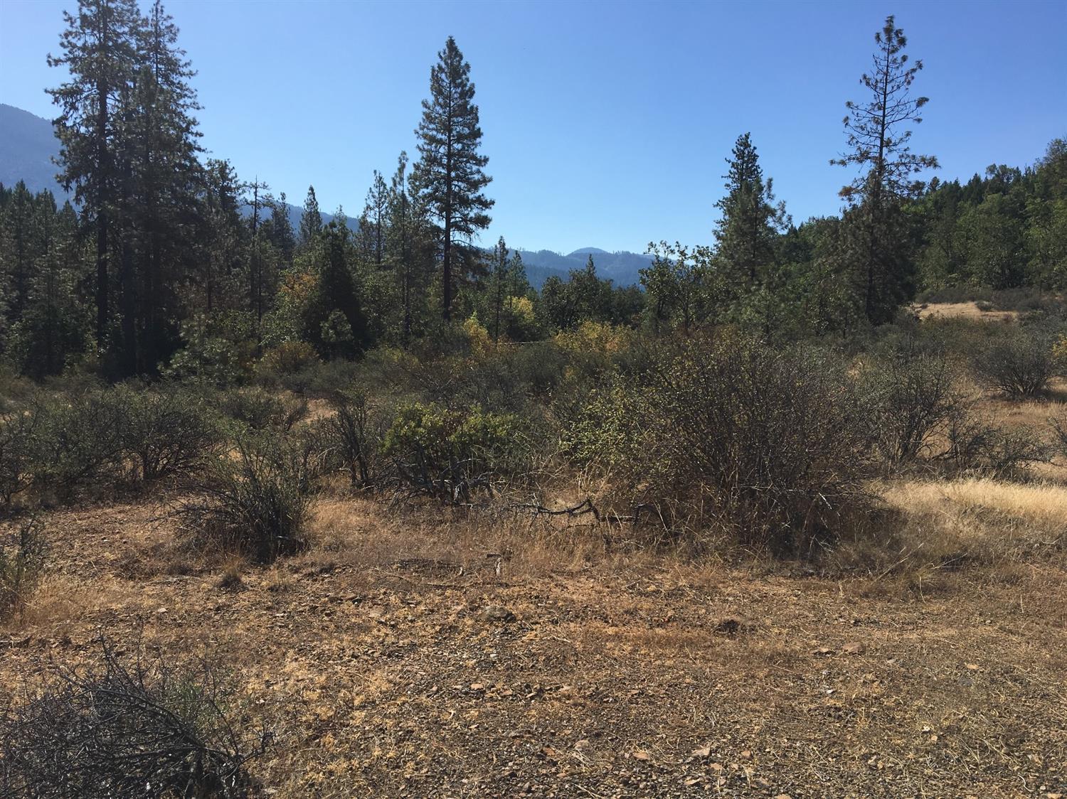 4481 Waldo Road Cave Junction, OR 97523 - Photo 5 of 13 Additional Photo
