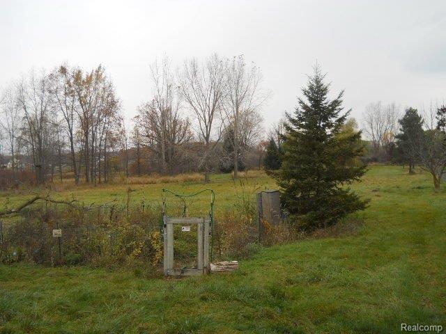 DSCN9976.JPG