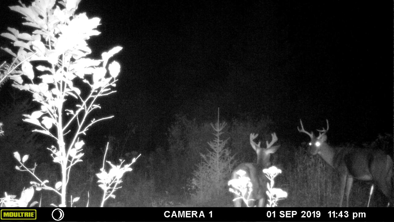 15550 Thrasher Road Long Lake, WI 54542 - Photo 31 of 33 Gallery Image 31