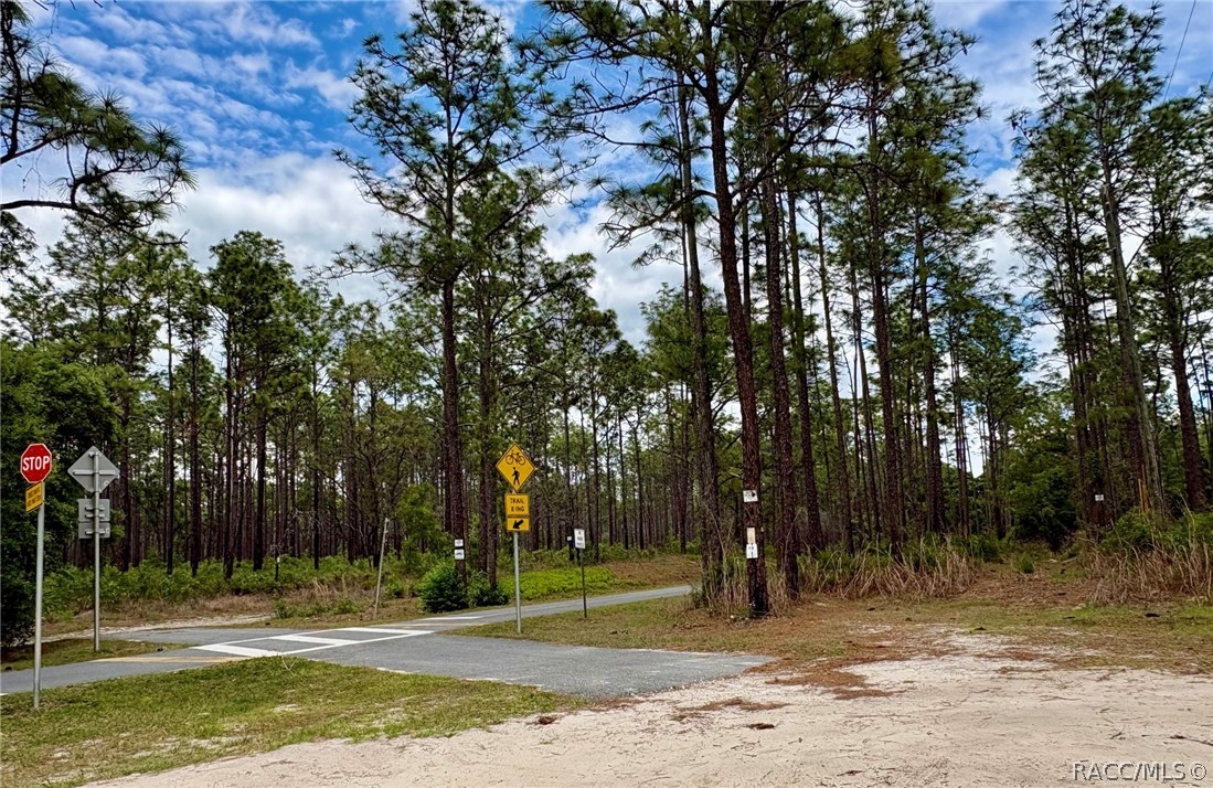 27001 Richbarn Road Brooksville, FL 34601 - Photo 23 of 23