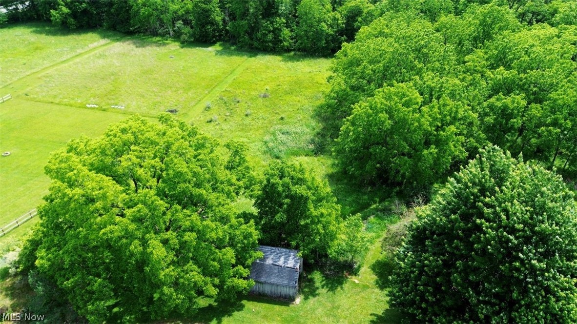 7251 Ryan Road Medina, OH 44256 - Photo 40 of 47 Aerial view