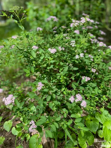 $376,900 | 12196 Laguna Drive, Marion, IL 62959