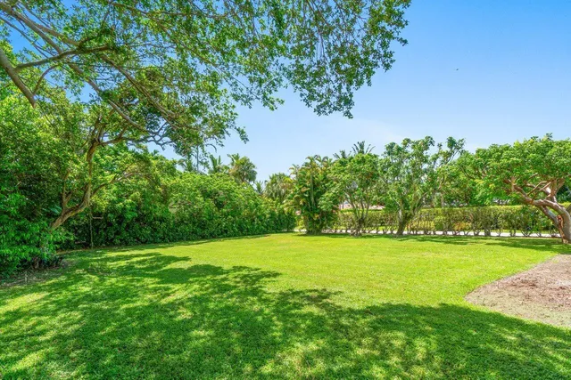 a view of a back yard