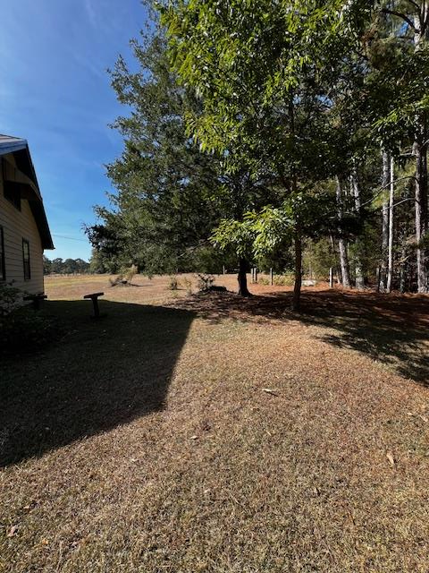 1966 Highway 142 Covington, GA 30014 - Photo 16 of 96 Side Yard