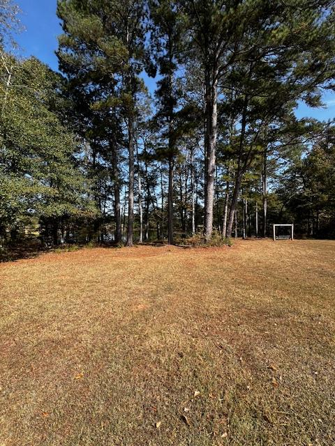1966 Highway 142 Covington, GA 30014 - Photo 17 of 96 Back Yard