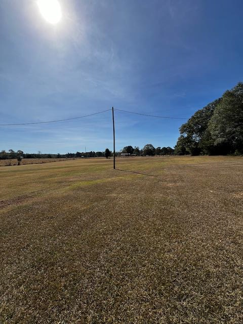1966 Highway 142 Covington, GA 30014 - Photo 20 of 96 Back Yard