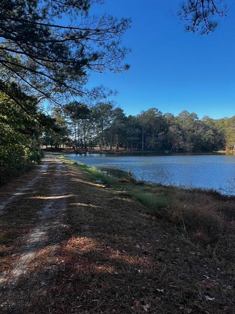 1966 Highway 142 Covington, GA 30014 - Photo 32 of 96 Lake