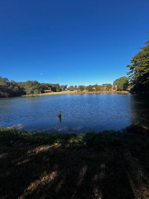 1966 Highway 142 Covington, GA 30014 - Photo 33 of 96 Lake