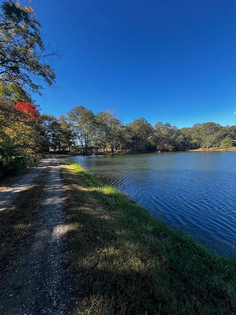 1966 Highway 142 Covington, GA 30014 - Photo 34 of 96 a view of a lake with a mountain in the background