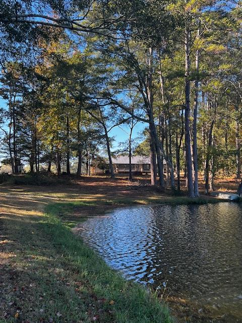 1966 Highway 142 Covington, GA 30014 - Photo 35 of 96