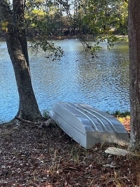 1966 Highway 142 Covington, GA 30014 - Photo 36 of 96 a view of a yard with large trees