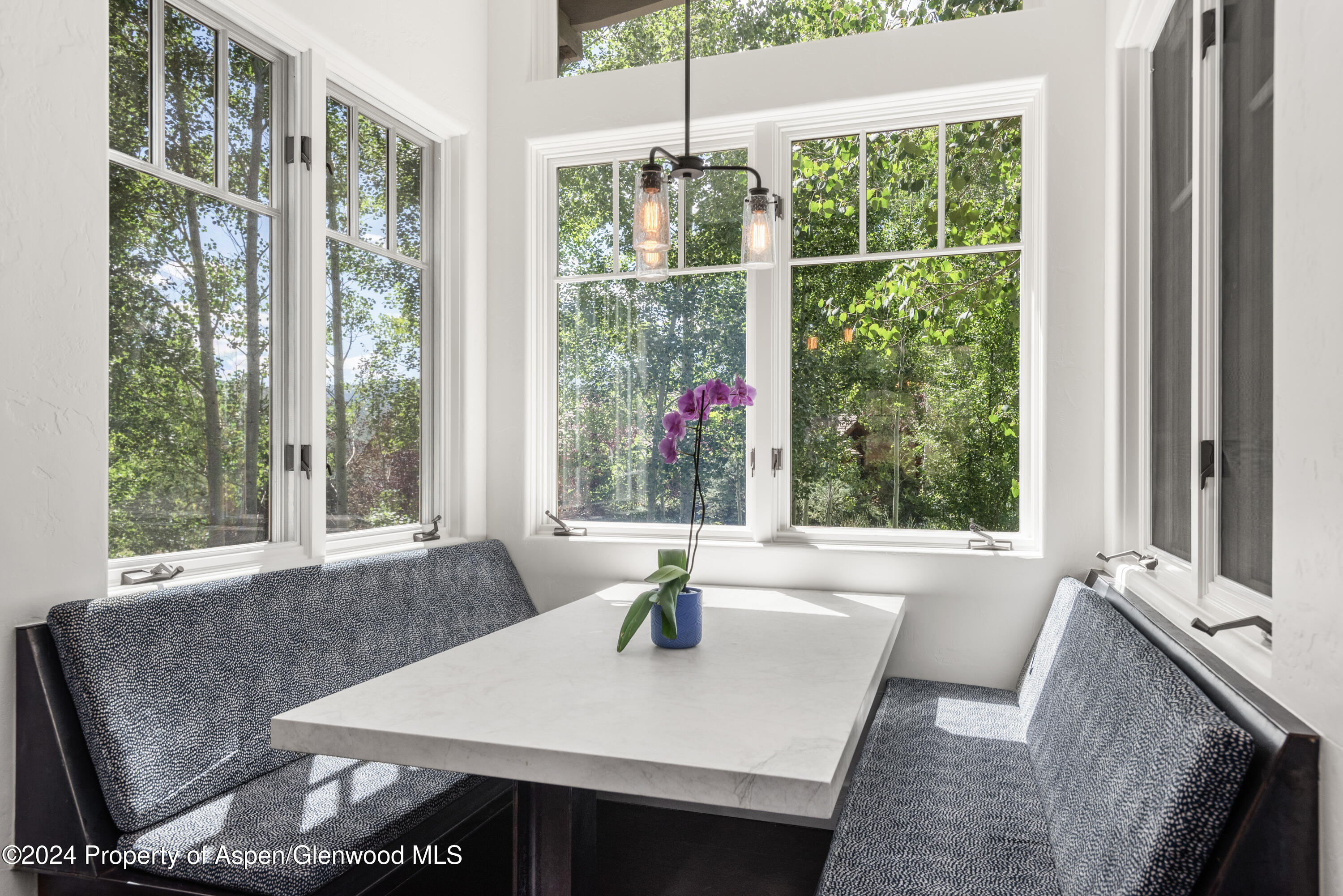124 Trail Rider Lane Snowmass Village, CO 81615 - Photo 13 of 39 a living room with furniture and window