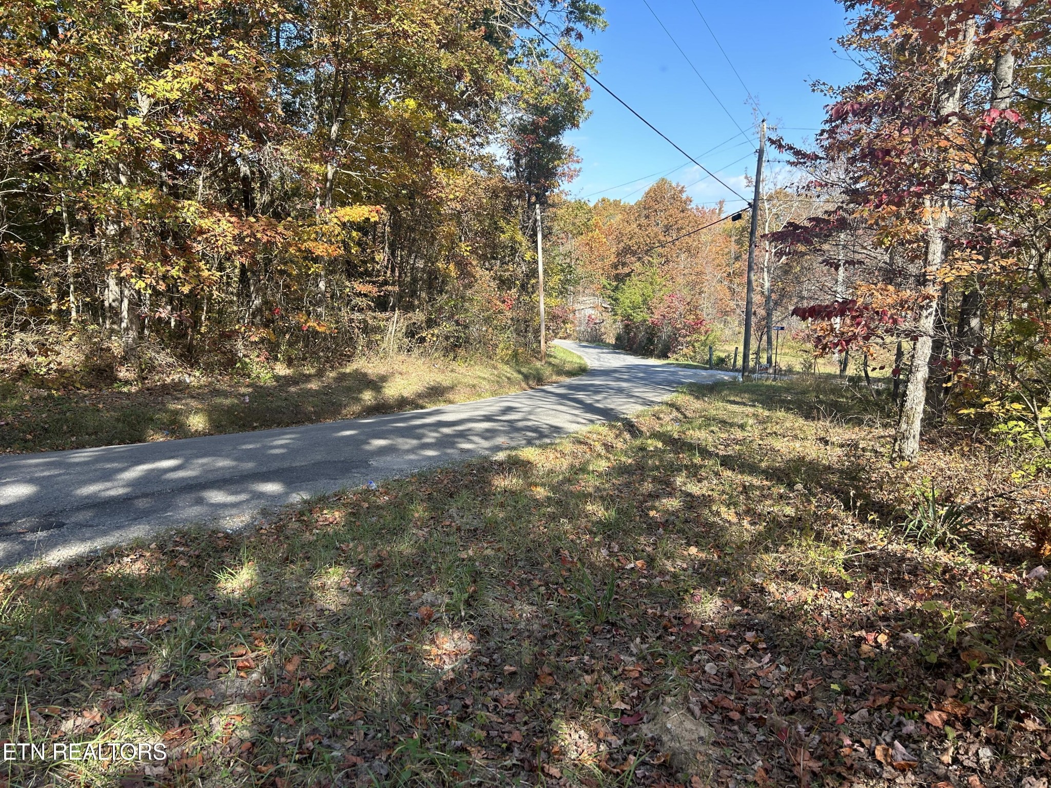 1665 Hollis Poore Road Jamestown, TN 38556 - Photo 3 of 5 Gallery Image 3