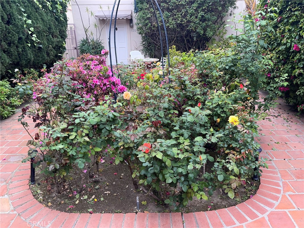 135 Canon Drive Beverly Hills, CA 90212 - Photo 35 of 42 a view of a garden with flowers