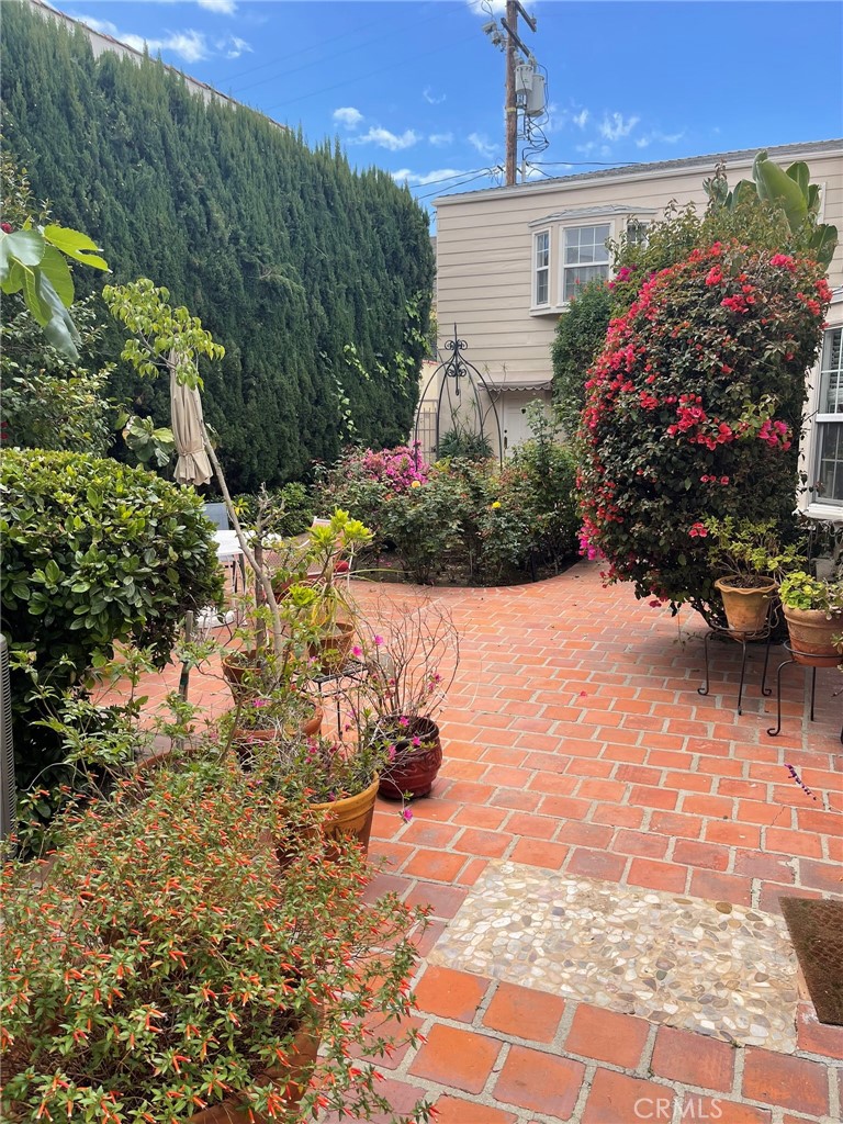 135 Canon Drive Beverly Hills, CA 90212 - Photo 7 of 42 a view of a backyard with plants