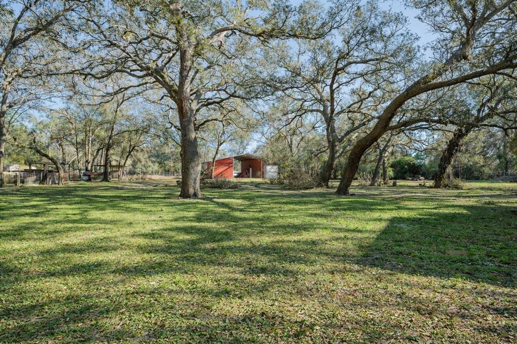 16314 Tiger Trail Spring Hill, FL 34610 - Photo 2 of 43 a view of a park with large trees