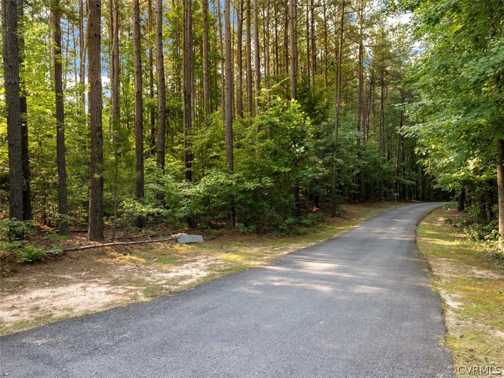 4211 Riddles Bridge Road Goochland, VA 23063 - Photo 5 of 47 Gallery Image 5