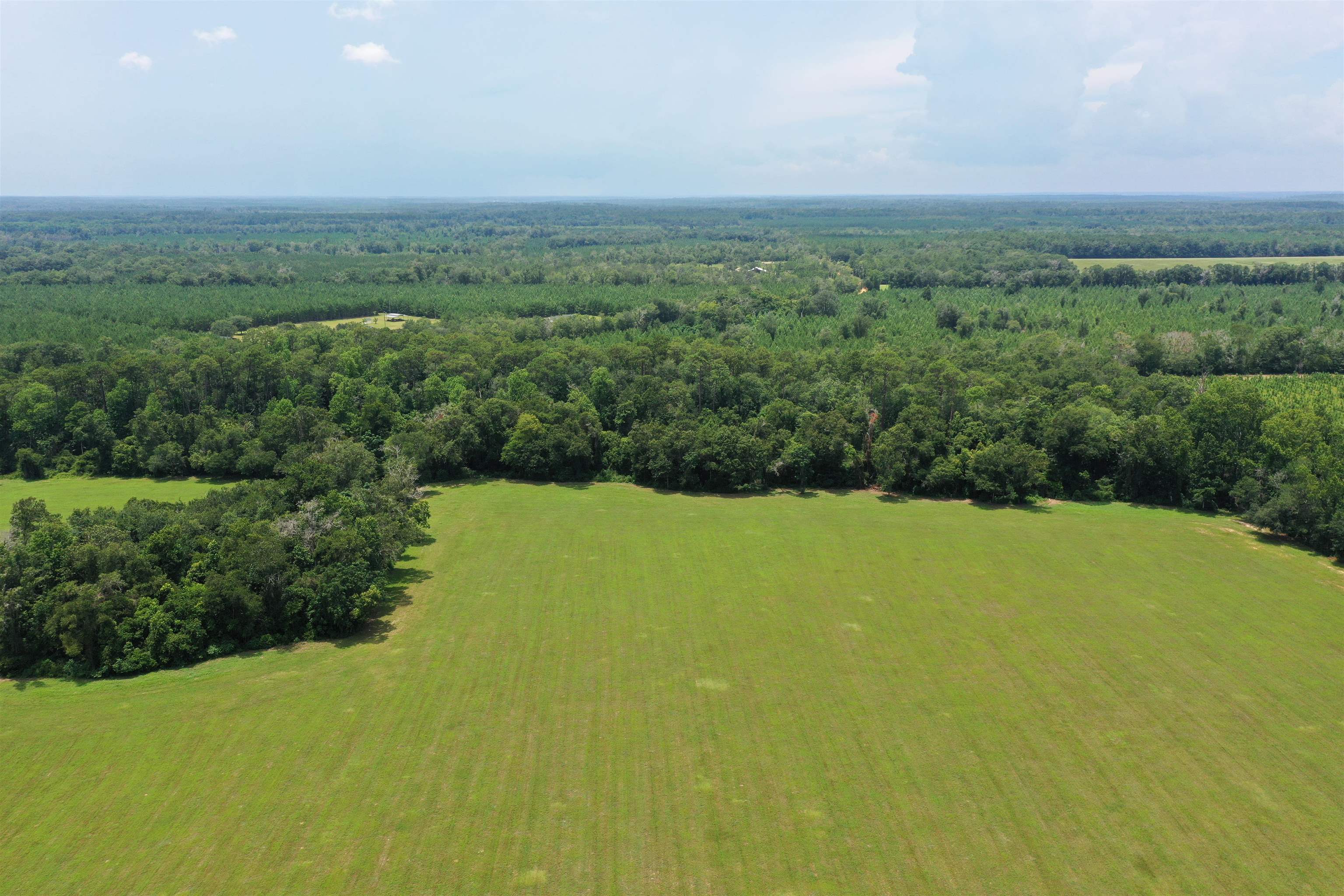 Xx Xx Max Herrin Road Quincy, FL 32352 - Photo 11 of 46