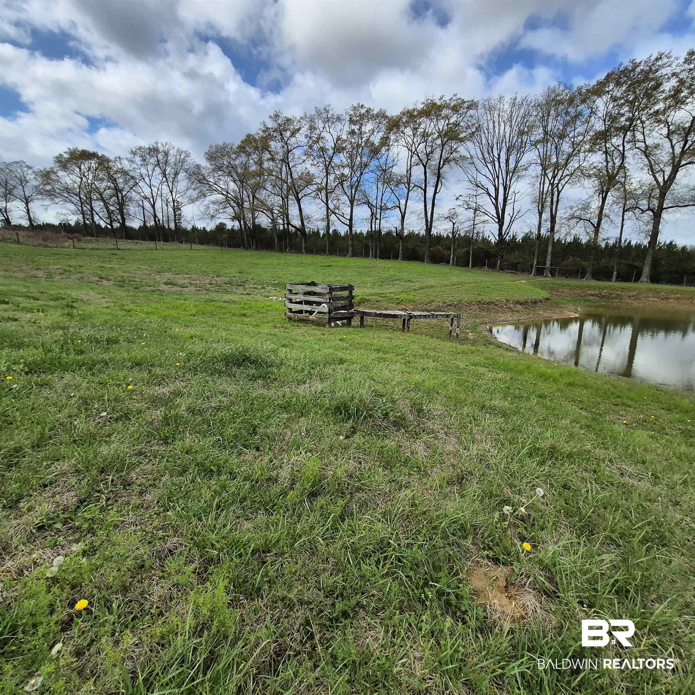 26635 Highway 41 Range, AL 36473 - Photo 58 of 74 View of grassy yard featuring a water view