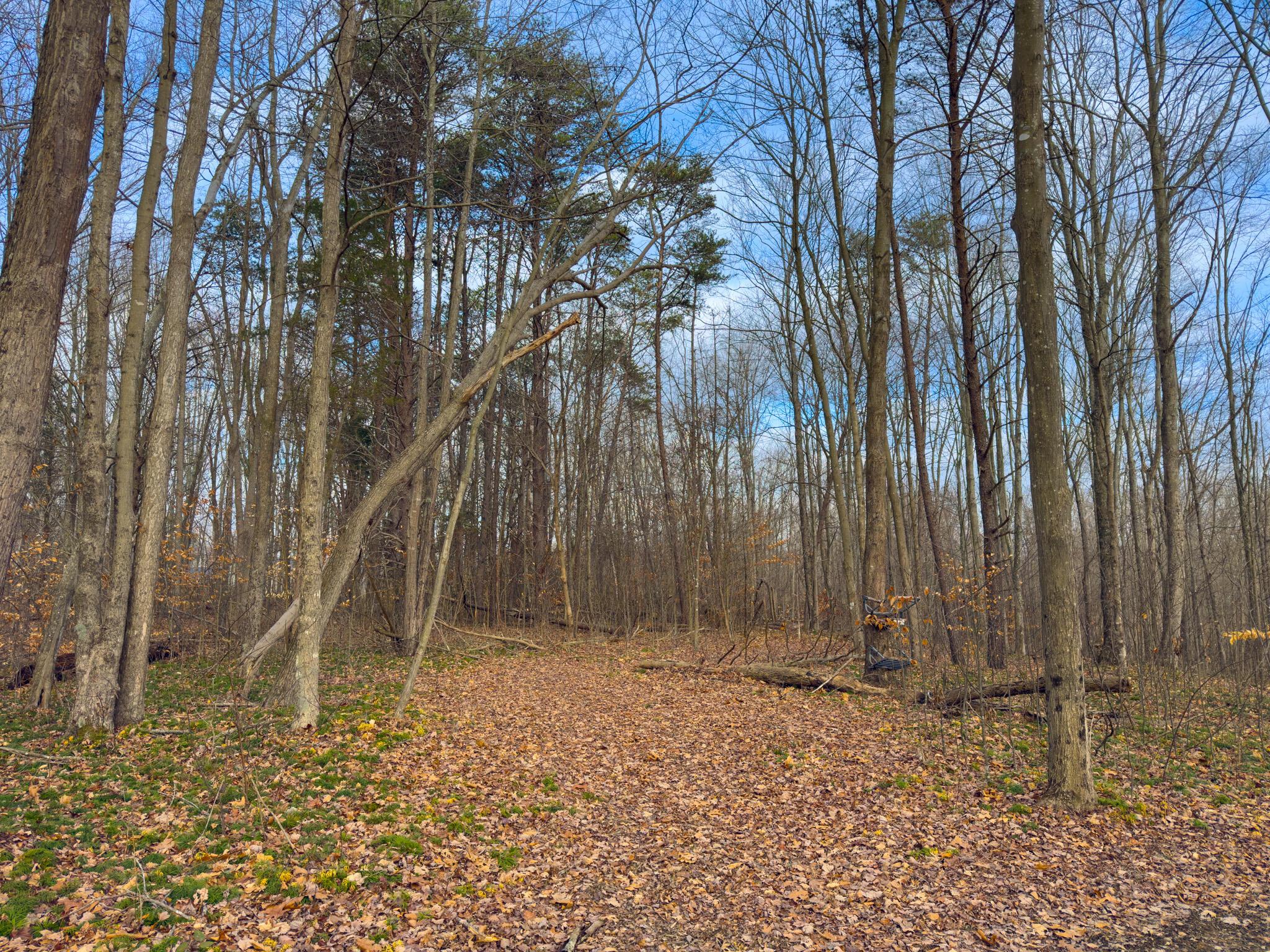 0 Long Fork Road Piketon, OH 45661 - Photo 21 of 37 Long fork rd.-21
