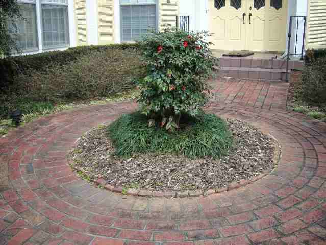 227 Kings Way Clemson, SC 29631 - Photo 2 of 9 Gallery Image 2