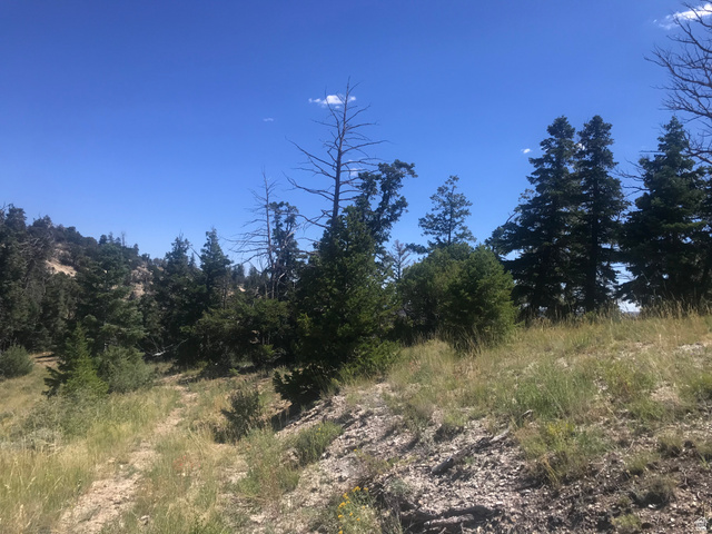 Undisclosed Address Duchesne, UT 84021 - Photo 8 of 29