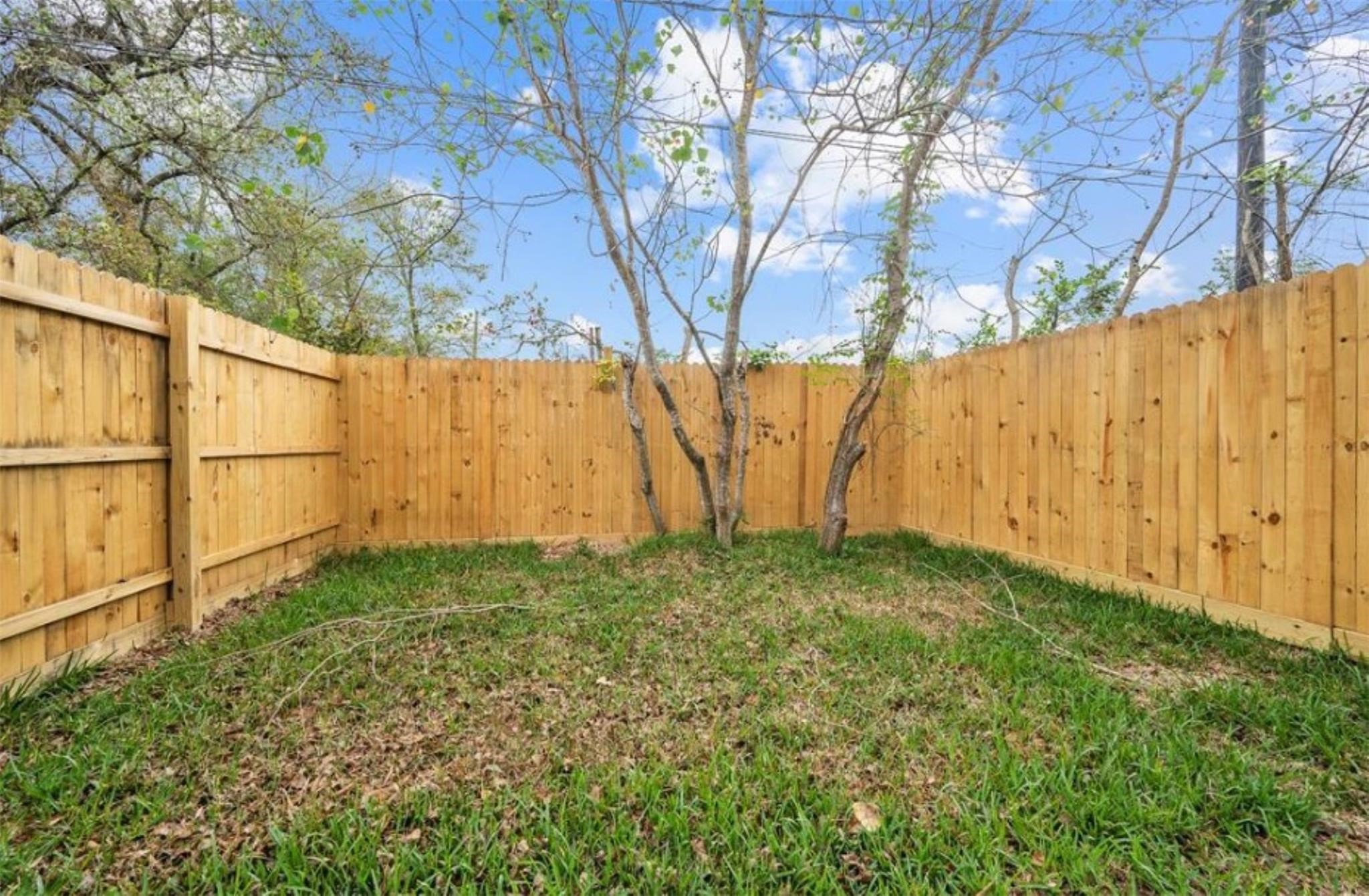 8120 Laura Koppe Road, Unit B Houston, TX 77028 - Photo 24 of 25 A cozy, fenced backyard with wooden panels, featuring a small grassy area and a few slender trees, perfect for privacy and outdoor relaxation.