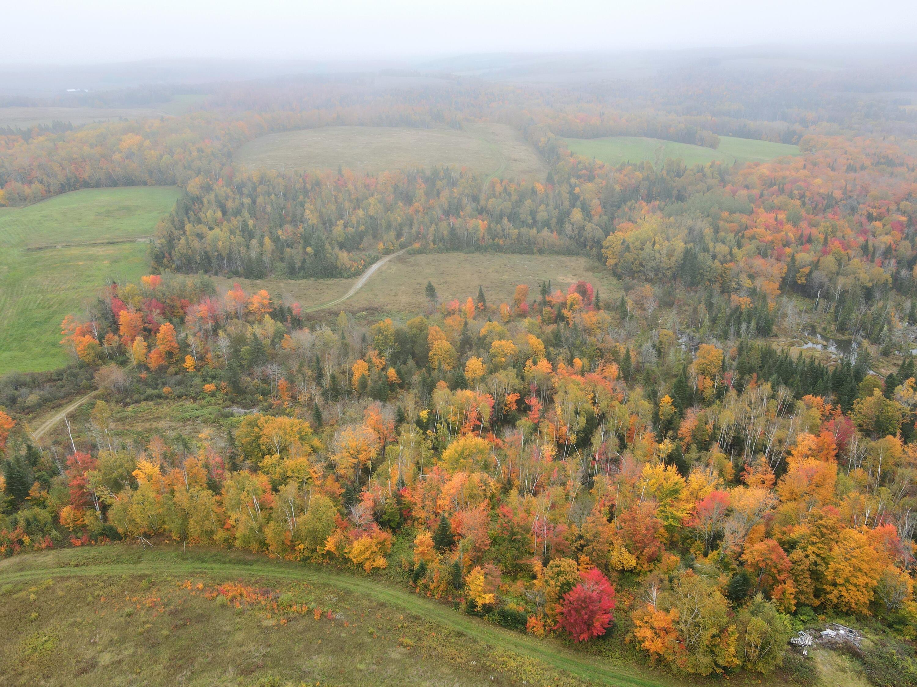 Lot 38 Coulombe Rd  