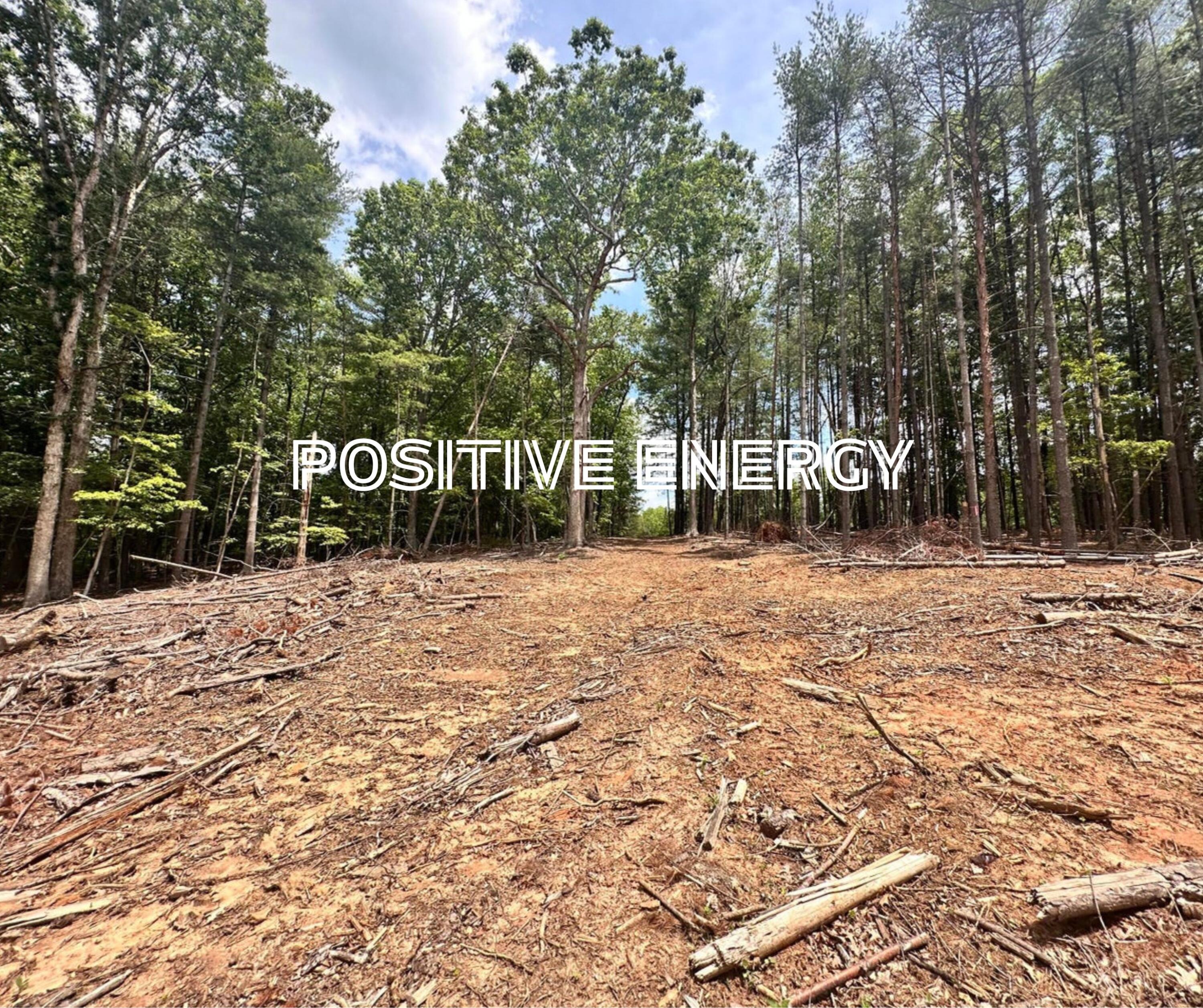 0 Hickory Drive Goodview, VA 24095 - Photo 1 of 1 a view of outdoor space with trees