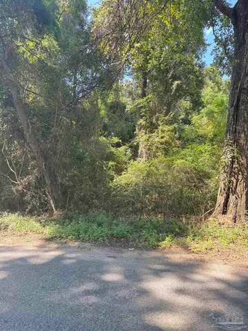 a view of a yard with a tree